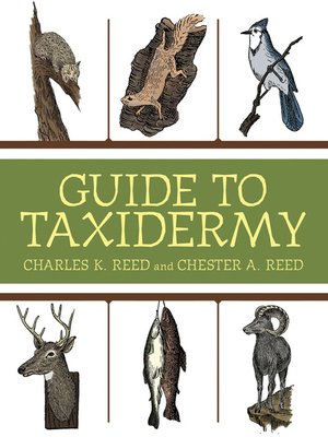 cover image of Guide to Taxidermy